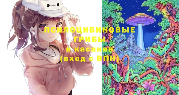 стаф Алзамай